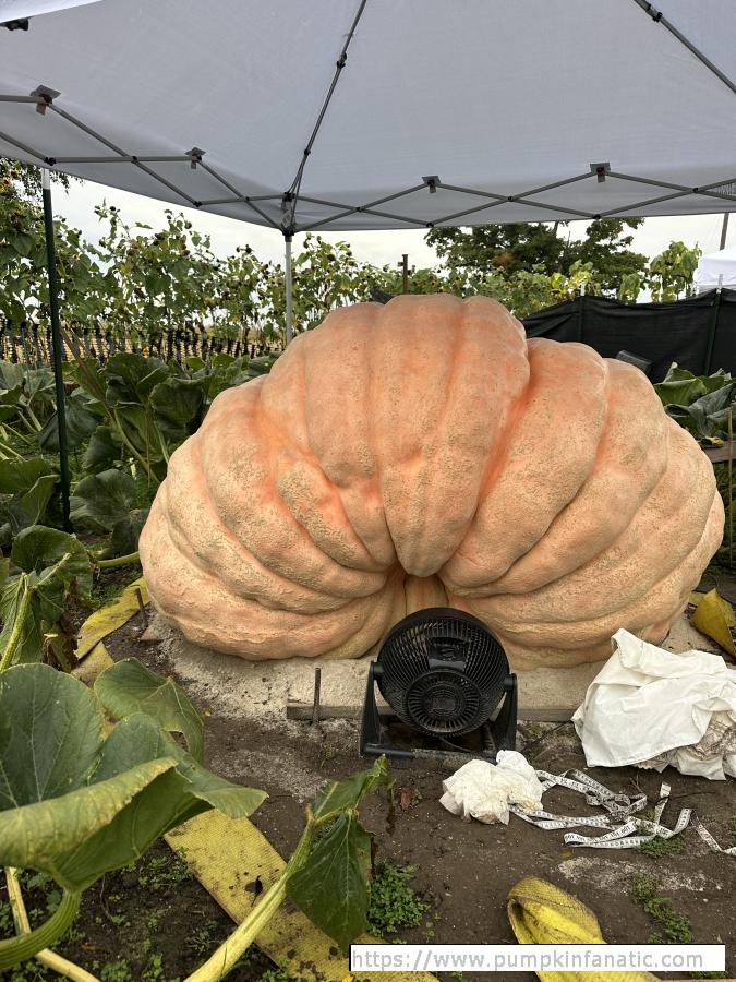 fruitImages/2505 Persinger 2025C.jpeg